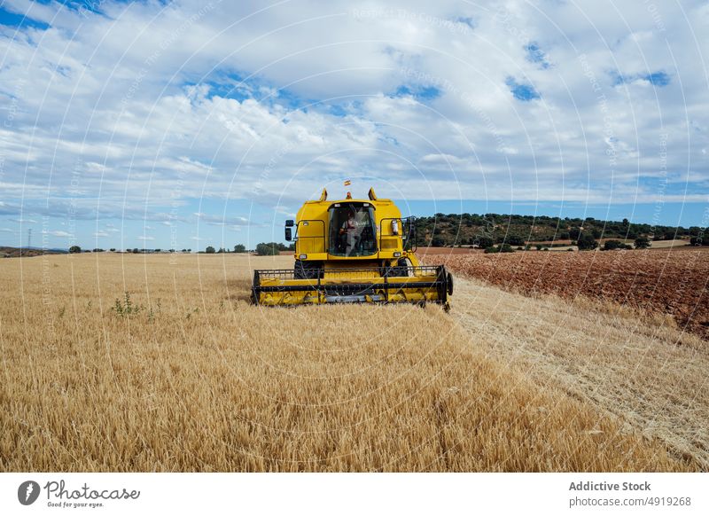 Combine harvester driving on agricultural field combine grain crop collect agriculture machine countryside drive industry farm natural cultivate rural