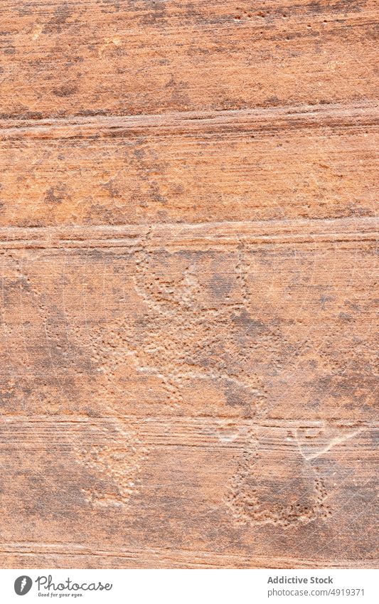 Goat petroglyphs on stone surface goat wall carve prehistoric creative rough background buckskin gulch utah usa united states america canyon highland grunge
