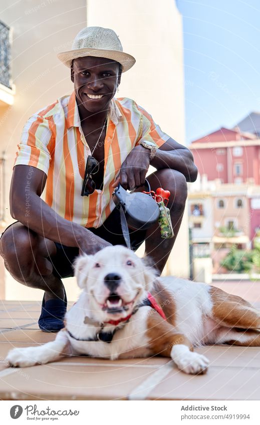 Delighted black man with dog on street pet american pit bull terrier city animal owner pastime leisure friend satisfied positive appearance cheerful happy