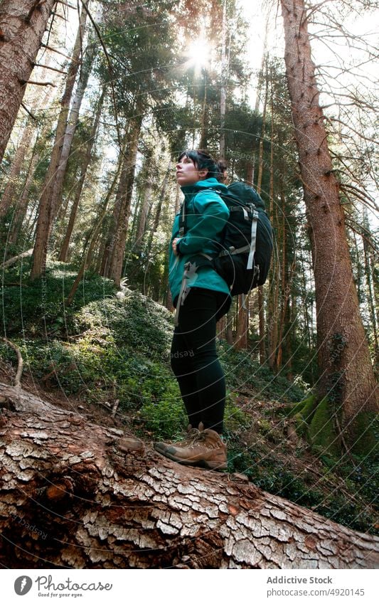 Woman walking on tree trunk in woods woman tourist forest balance weekend explore outerwear female nature travel relax season backpack coniferous woodland