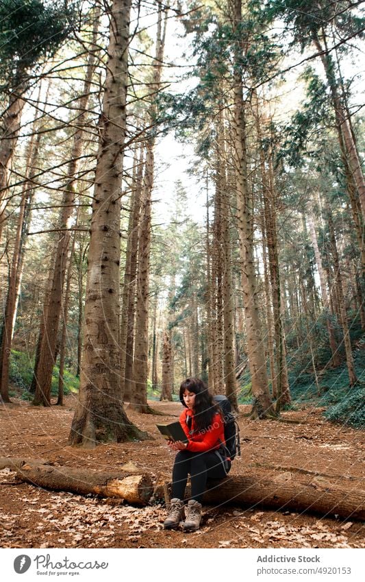 Female tourist reading book in forest woman log tree travel backpack female journey relax hobby weekend woodland trunk woods explore countryside wanderlust hike