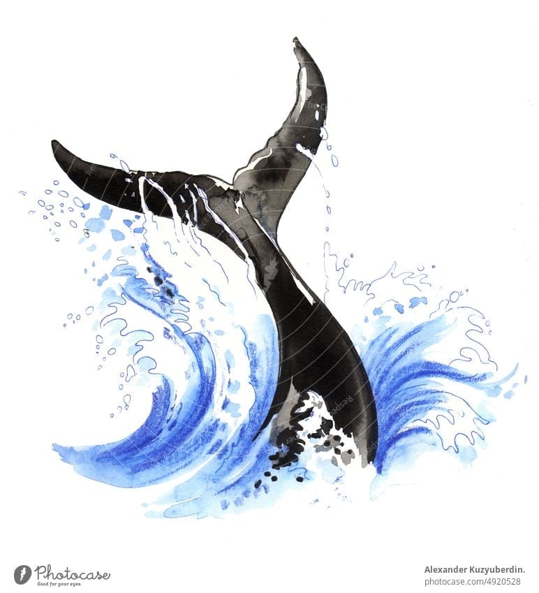 Whale tale in blue sea water. Ink and watercolor drawing whale dolphine animal ocean wave nature sketch illustration art artwork painting
