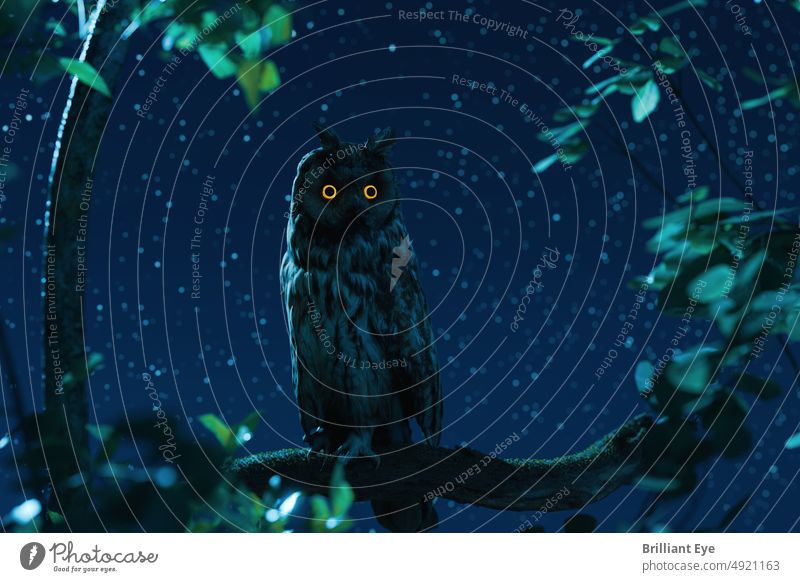 Long-eared owl with glowing yellow eyes watching in branches at night Eyes Outdoors silent Sky Stars Midnight Mystery Landscape Sit Feather raptor Hunter