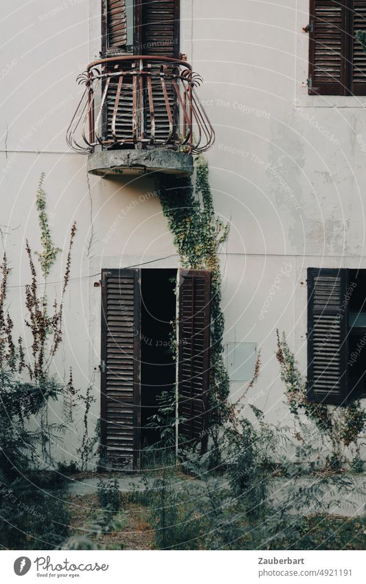 Shutters and balcony on the facade of an old house with ivy shutters Balcony door Window House (Residential Structure) Facade Old Derelict Croatia Overgrown