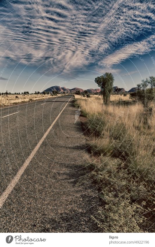 AUSTRALIA,AYERS ROCK-CIRCA  AUGUST 2017- in  ayers rock park  and bush australia outback australian landscape desert road blur travel nature territory northern