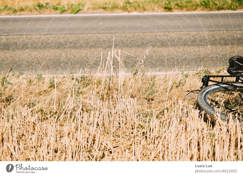 Rear wheel of bicycle lying in withered grass beside country road Bicycle Wheel rear wheel Street Country road Cycling Transport Lie left Break Grass Drought