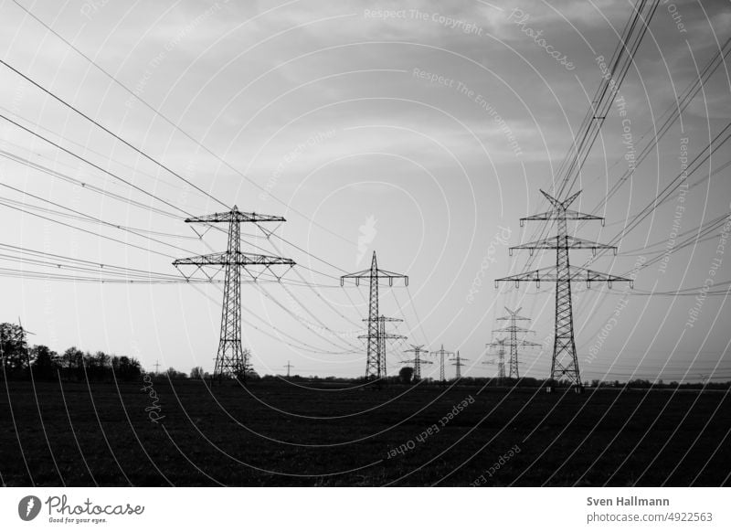 Electric lines in black and white High voltage power line Cable Energy industry Electricity Electricity pylon Exterior shot Technology Transmission lines