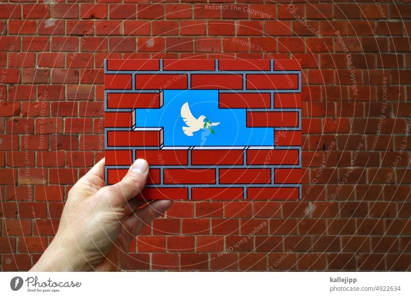 hole nice Freedom Pigeon peace symbol Peace, dove, street art Summer Nature Lake bricks Wall (barrier) fissure Hand stop map surreal Illustration Decompose Blue
