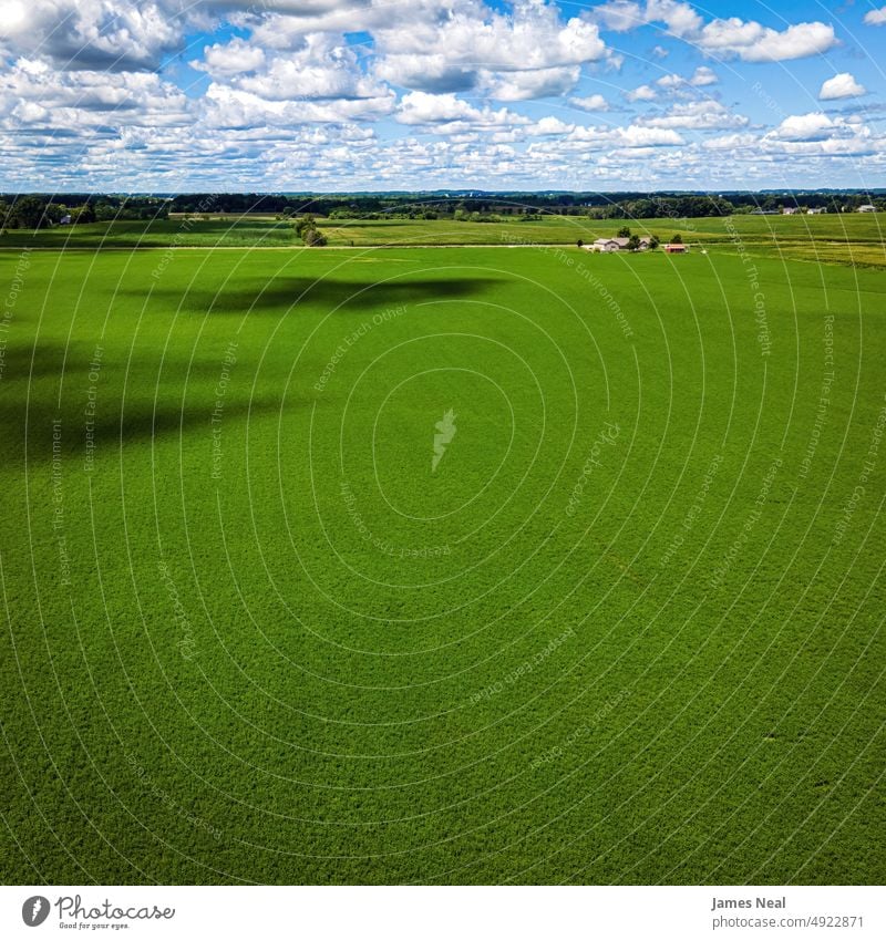 Rural Wisconsin Agricultural Field in Summer horizon sunny natural nature land grain background agriculture corn summer drone growth wisconsin outdoors