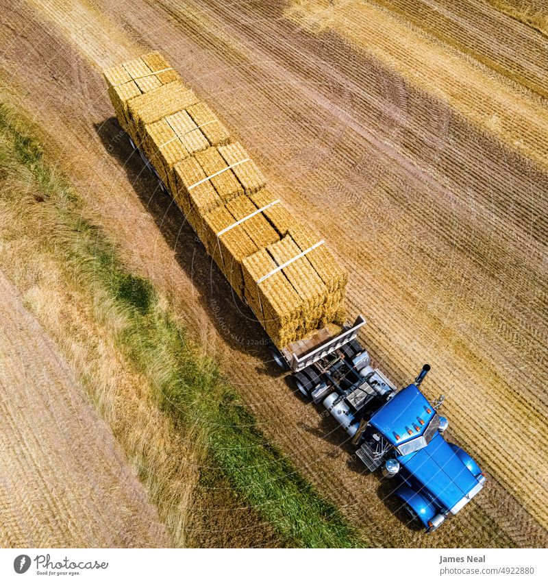 Fresh Cut Hay Bales Being Loaded grass dry natural color hay nature land meadow loading straw bale agriculture harvested summer drone golden outdoors farm stack
