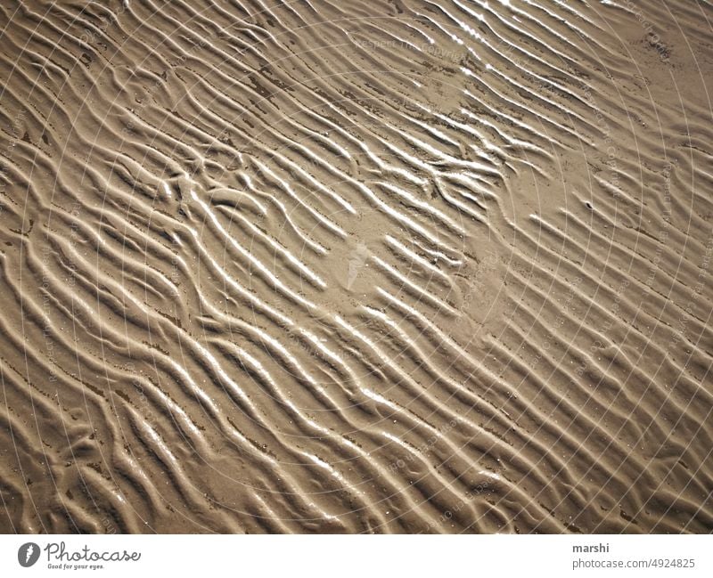 tides North Sea Sand Beach Tide Low tide High tide Detail detail Abstract shape Forms and structures sandy vacation Saint Peter Ording