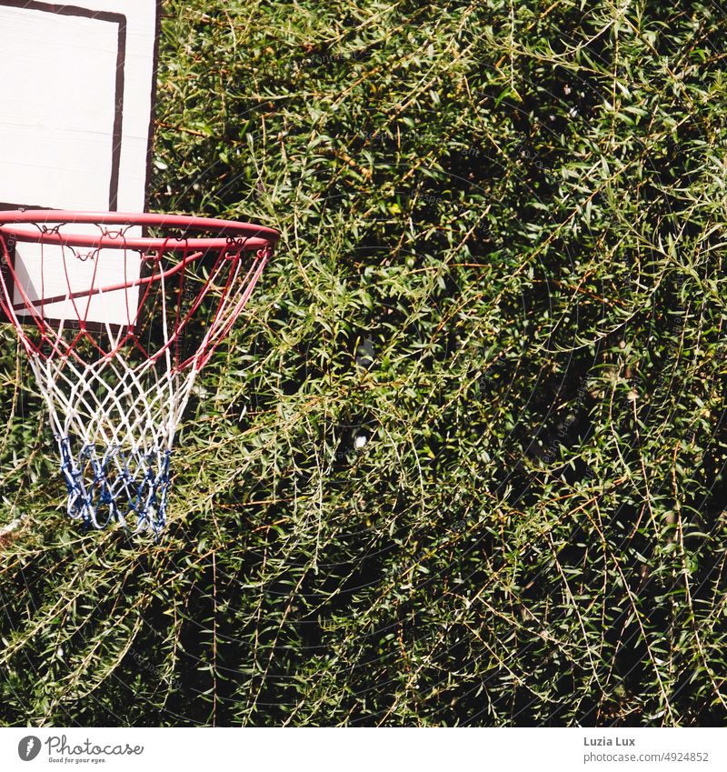 A basketball net in front of green hedge Summer sunshine Leisure and hobbies Playing Ball sports Detail Net Red Basketball basket Green Sports Old slanting