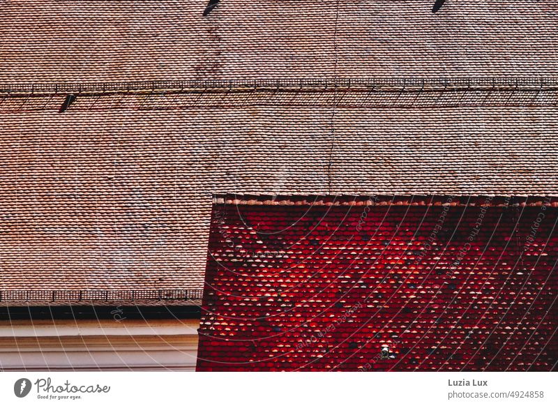 Roofs, tiles and lines in bright sunshine roofs brick Red Brown sunny Old House (Residential Structure) Architecture Building Town Roof grille Tall