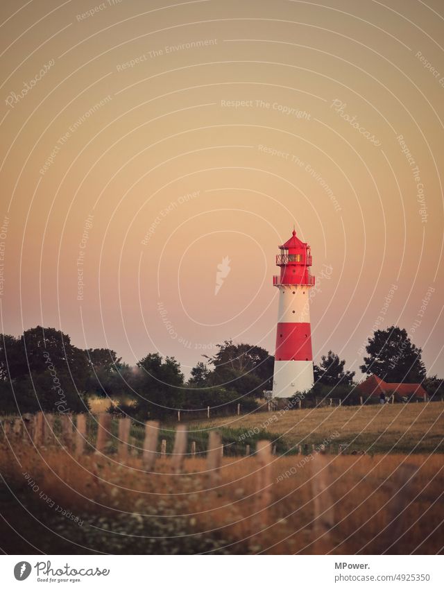 Lighthouse in the evening Sand Ocean coast Baltic Sea Schleswig-Holstein Beach Dike Dusk Landscape Nature Exterior shot Tourism Vacation & Travel Relaxation