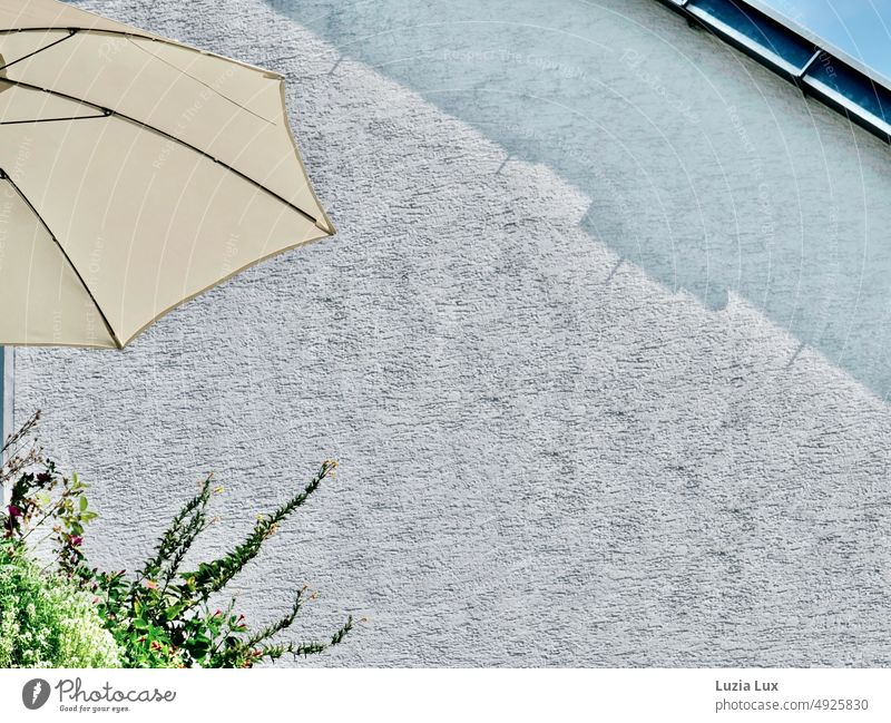 Cropped parasol and some green in front of an older house wall, above a piece of blue sky at home Gray Appealing Peaceful atmospheric idyllically Idyll foliage