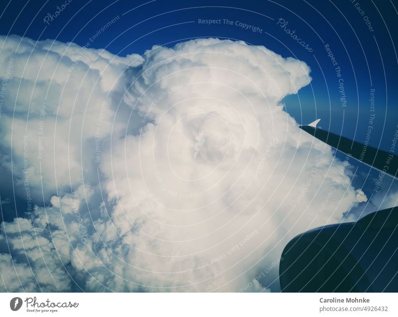 Über den Wolken Flugzeug Sicht fliegen Wolkenbild Himmel Ferien Wolkengebilde himmel wolken Natur sonne urlaub reise landschaft ferien erholung sommer freizeit