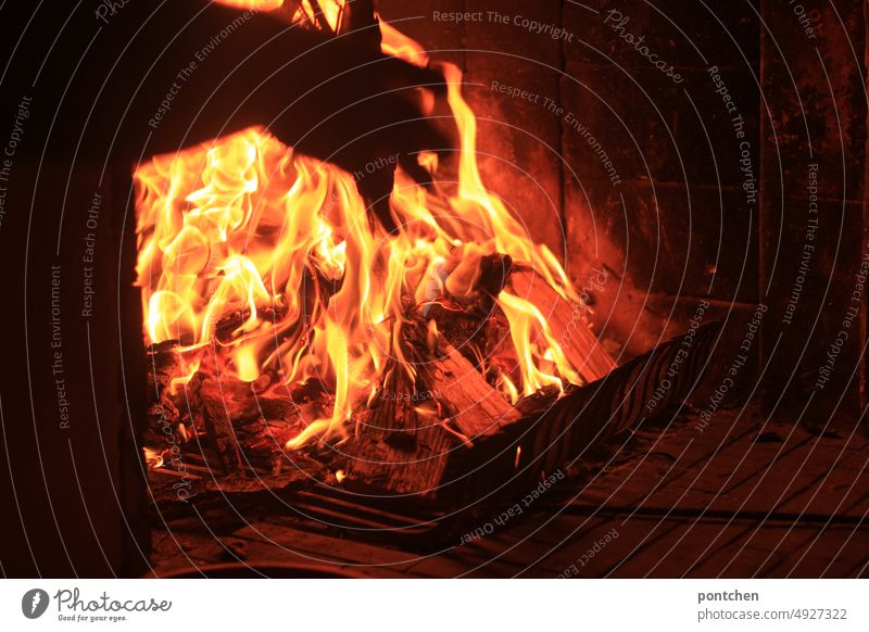 A hand throws a log into the fire. Fireplace. Heating method. Heating Warmth ardor Fireside gas crisis Wood incinerate sb./sth. fire up Hand warped Creepy