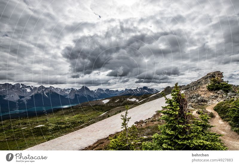 snow line Trip Loneliness Lonely Alberta Sky North America Landscape Fantastic Exterior shot especially wide Nature trees Adventure Hiking Canada Colour photo