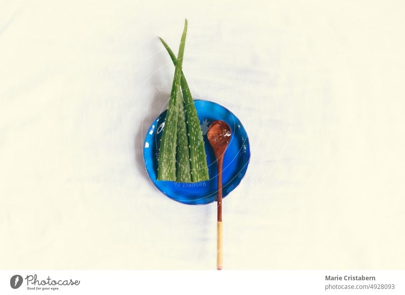 Flat lay of aloe vera leaves and wooden spoon on a ceramic platter showing concept of sustainable lifestyle and ethical consumerism minimalist flat lay