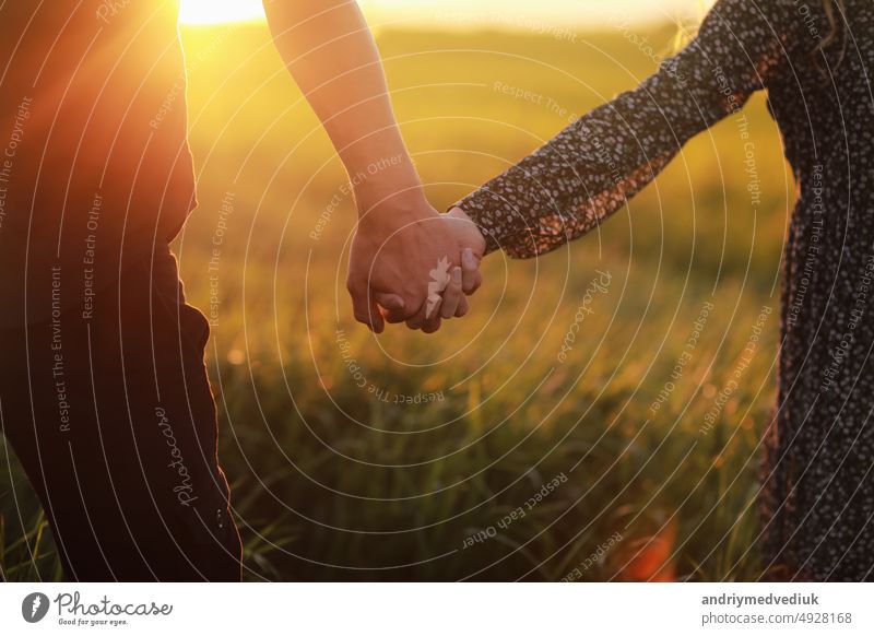 Couple hold hands in green field on sunset couple relationship male outdoor two romance female girlfriend holding together boyfriend romantic woman love people