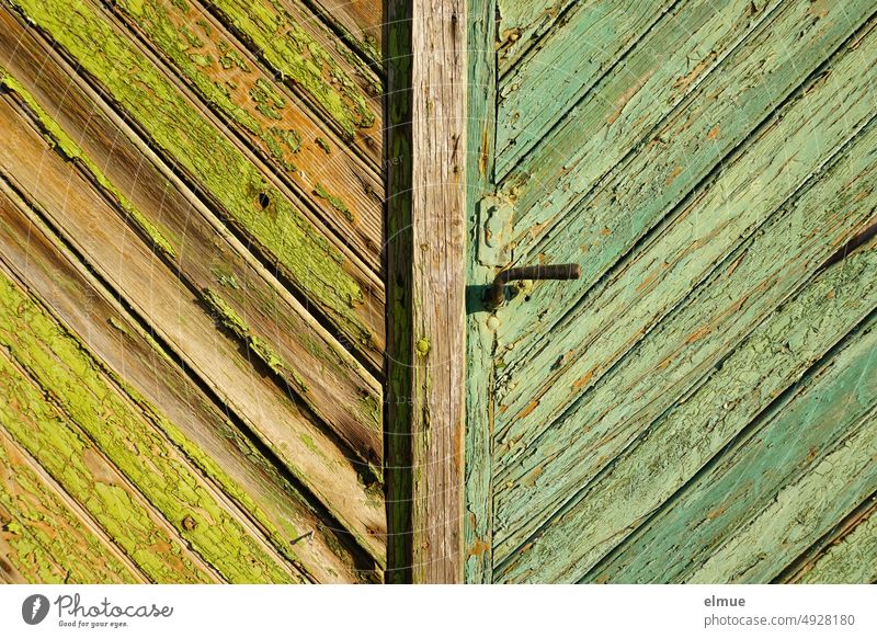 large wooden gate with plain door handle, slanted wooden boards and painted with different green paint, which is peeling off Wooden gate Goal Colour Green