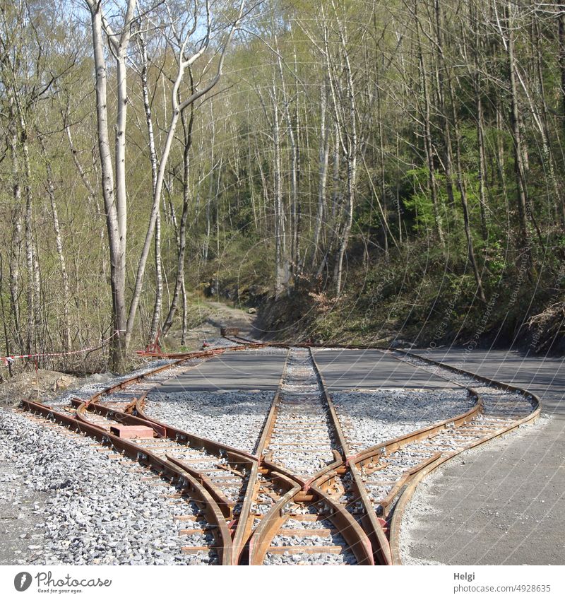 Railroad tracks with branches rails railway tracks Track bed siding Switch Junction Right ahead Left stones Asphalt trees Forest birches Spring Rail transport