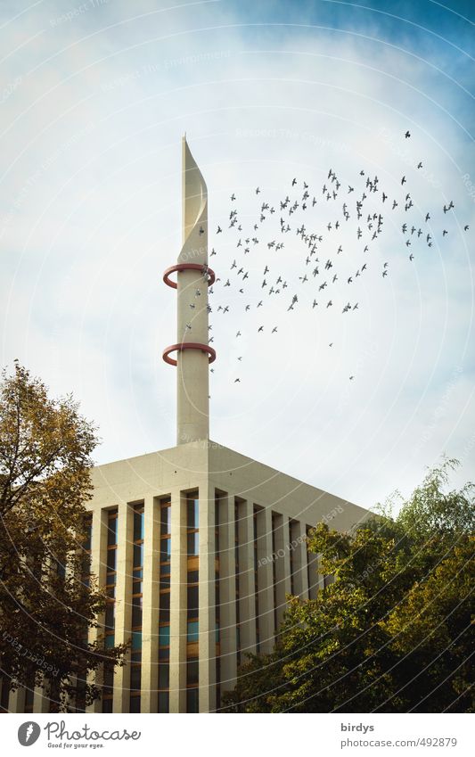 DITIB Central Mosque in Cologne Central Mosque Cologne Ditib Mosque Minaret Architecture Culture Religion and faith Clouds Turkish Tree Cologne-Ehrenfeld Pigeon