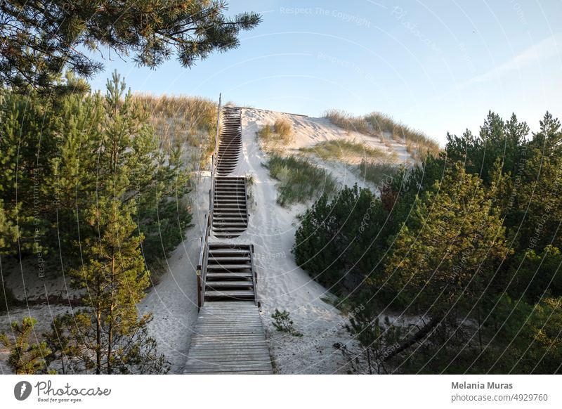 Wooden stairs to the beach covered with sand. Sand dunes, nature park with a protected coastal strip by Baltic sea. adventure attraction baltic baltic sea