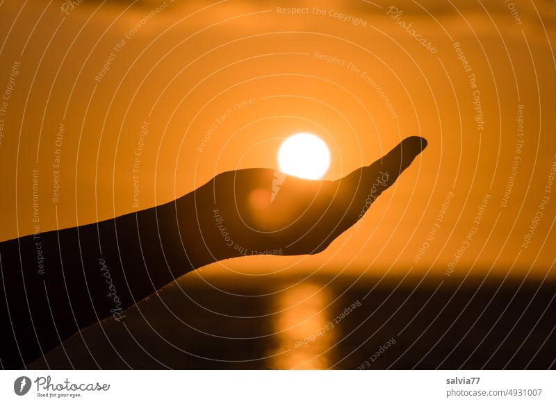 Sun ball of setting sun sinks into hand shaped into bowl Sunset Sun globe Hand Sky Evening Moody Sun Ball evening mood Horizon Silhouette Calm Idyll Light