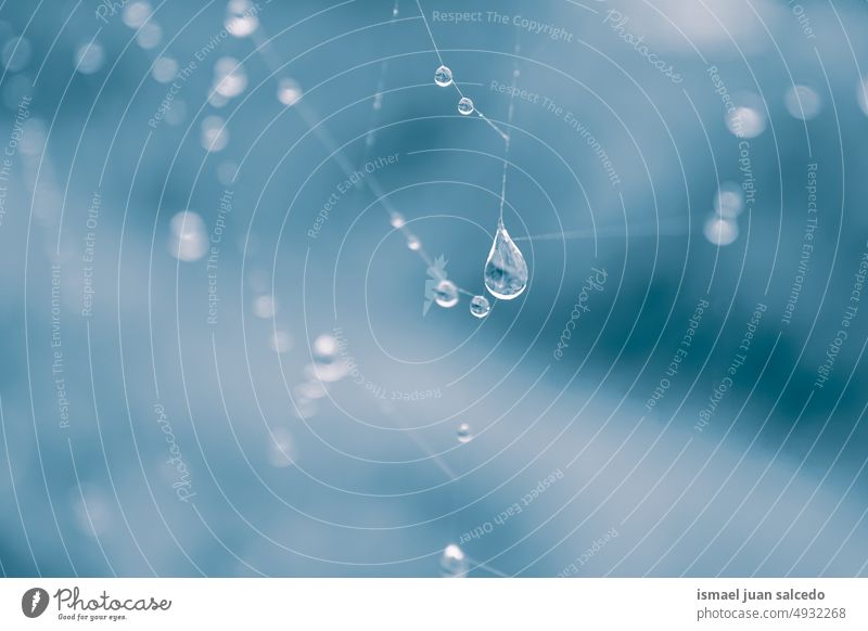 drops on the spider web in rainy days net spiderweb nature raindrop droplet rainy season bright shiny outdoors abstract textured background water wet minimal