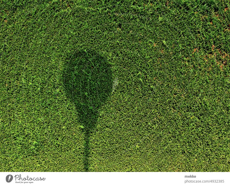 A shadow disguises itself as a balloon Shadow Light Sunlight Shadow play Structures and shapes Light and shadow Facade Contrast Pattern Hedge Green Garden
