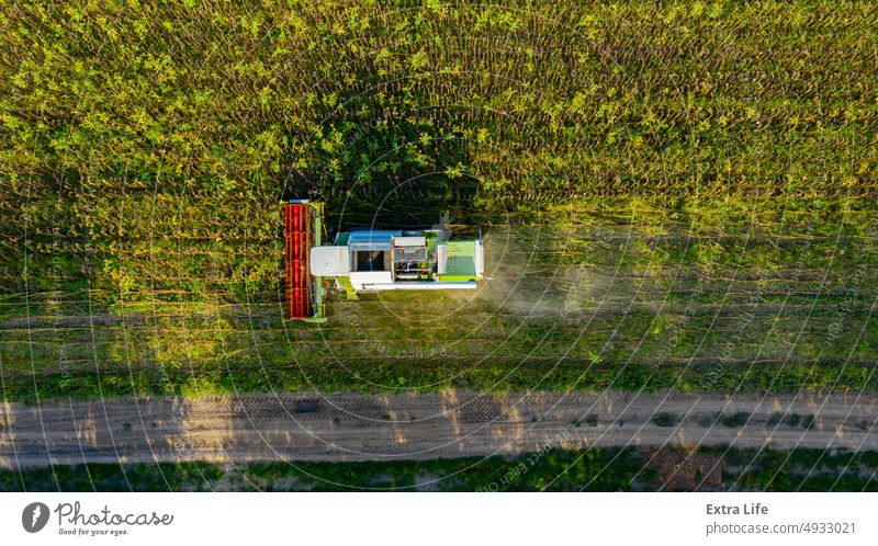 Above view on combine, harvester machine, harvest ripe sunflower Aerial Agriculture Cereal Combine Country Crop Cultivated Cultivation Cut Dust Dusty Dry Farm