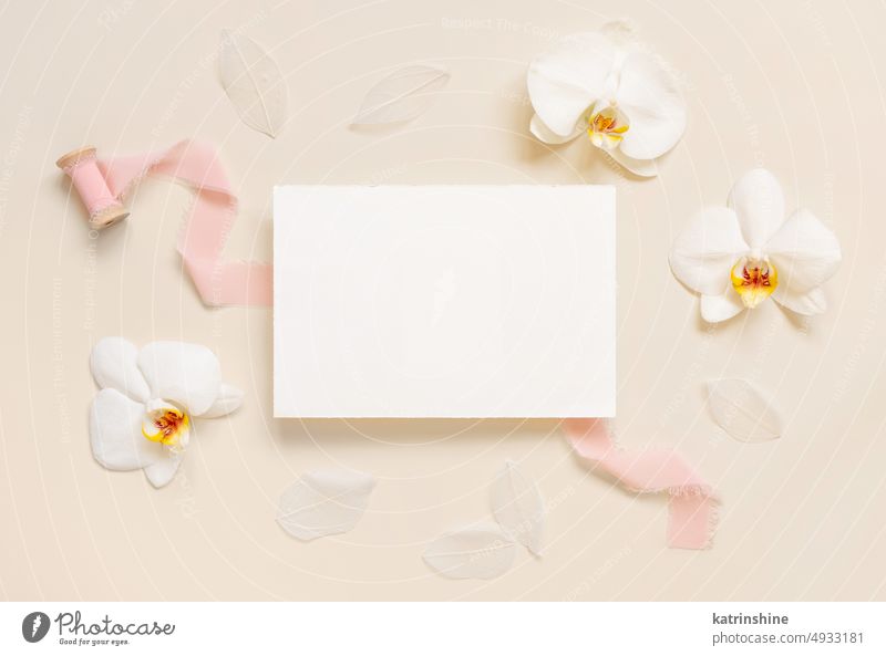 Blank card near white orchid flowers and pink silk ribbons on light beige, Wedding mockup WEDDING tropical top view horizontal exotic paper valentine spring
