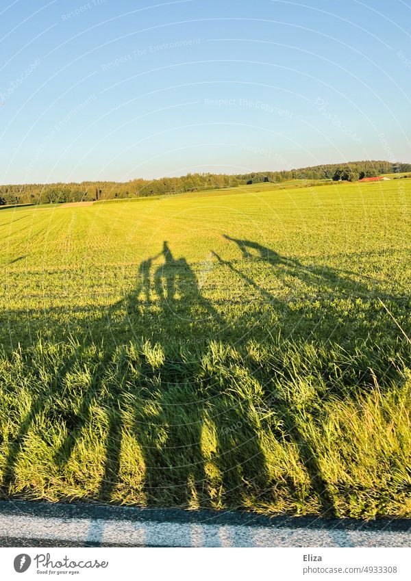 Shadow of two cyclists on green meadow in sunshine Cycling Cyclist Bicycle Trip Landscape Outdoors Rural Green Nature Bicycle trip bike tour Cycling tour
