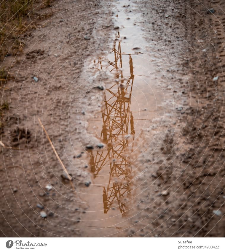 Power pole reflected in a puddle in the mud Electricity pylon Energy Provision Energy industry Sky Technology Environment Energy crisis Rain Mud Save energy