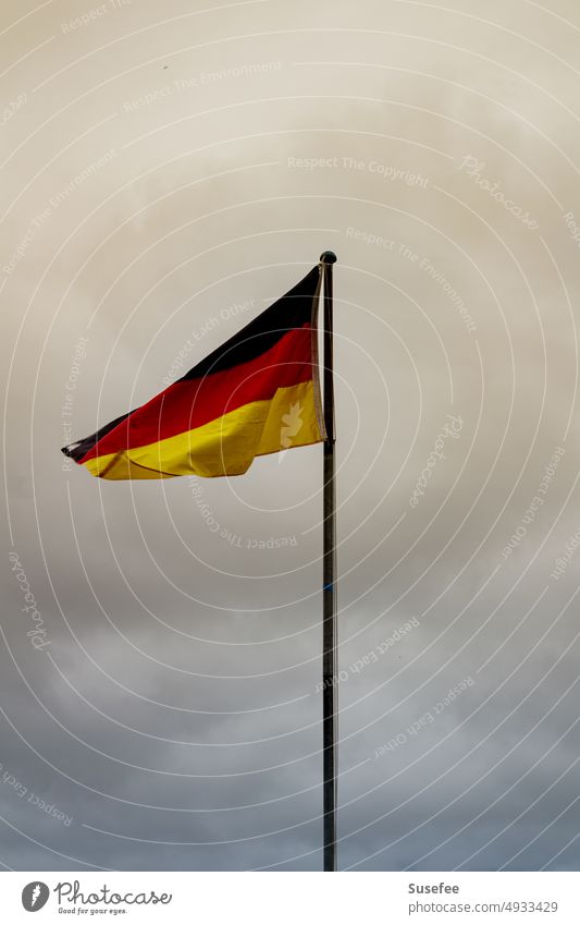 Germany flag in wind against gray sky Yellow Sky Home country Patriotism at home black red gold Flag Wind Ensign Blow Nationalities and ethnicity Pride