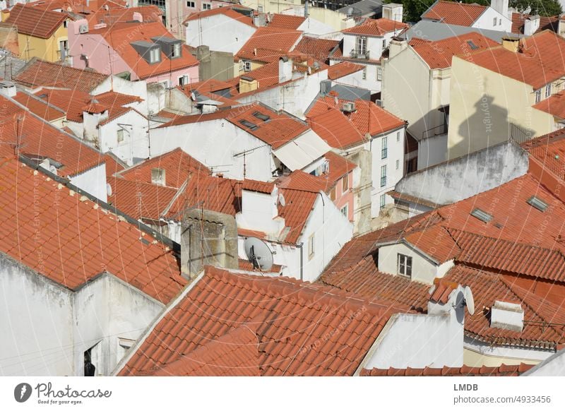 Lisbon roofs rooftop landscape Roofing tile red brick Old town Tourism Portugal above the roofs Background picture