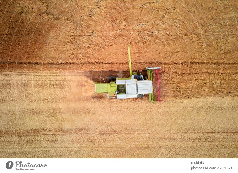 Aerial view of working harvesting combine in wheat field, Harvest season aerial harvester dust grain farmland tractor machine above agricultural yellow