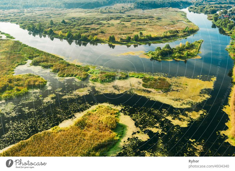 Aerial View Green Marsh And River Landscape In Summer Day. Top View Of Beautiful European Nature From High Attitude In Summer Season. Drone View. Bird's Eye View