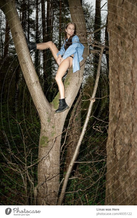 A wild forest with a girl up in a tree. Showing her beautiful long legs with some fine black lingerie, black boots, and a blue shirt. A beautiful and sensual woman with her perfect curves in the wilderness.
