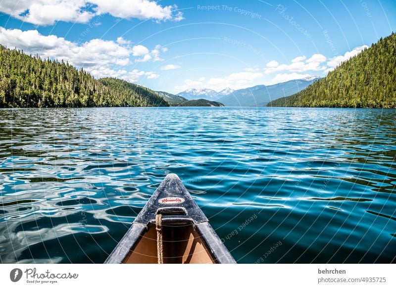 A boat trip Idyll relax To enjoy Restorative Relaxation British Columbia Adventure Freedom Lake Canada Exterior shot Nature North America Landscape Colour photo