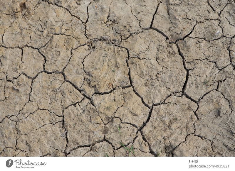 Drought - parched soil with cracks aridity Ground Earth Crack & Rip & Tear Environment Dry Climate Summer Climate change Surface Deserted Exterior shot Brown