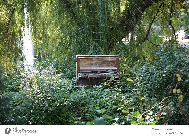 Piano in the green Nature Free Freedom Musician Musical instrument keyboard instrument Old Wood Forest Keyboard Leisure and hobbies Make music Play piano