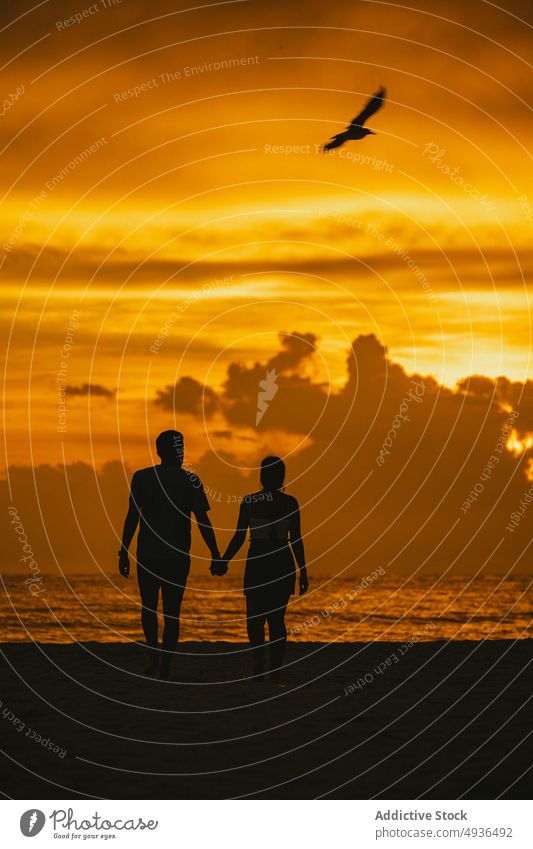 Unrecognizable romantic couple holding hands and admiring ocean at sundown sunset beach walk silhouette sea love together beloved relationship twilight sky