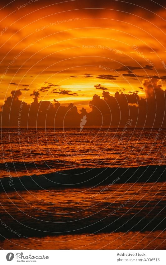Sea waving against cloudy sunset sky sea wave summer roll energy orange bright clearwater florida usa united states america breathtaking seascape picturesque