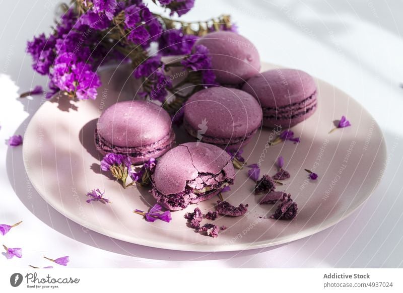 Yummy macaroons near fresh flowers plate dessert color violet bouquet table sunlit pastry sweet yummy bunch flavor delicious confectionery tasty serve bloom