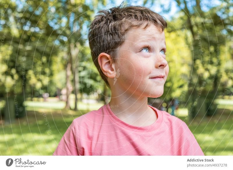 Boy looking at sun in park boy sunlight summer weekend lawn tree lush daytime sunny childhood casual kid sunlit t shirt season daylight pastime free time