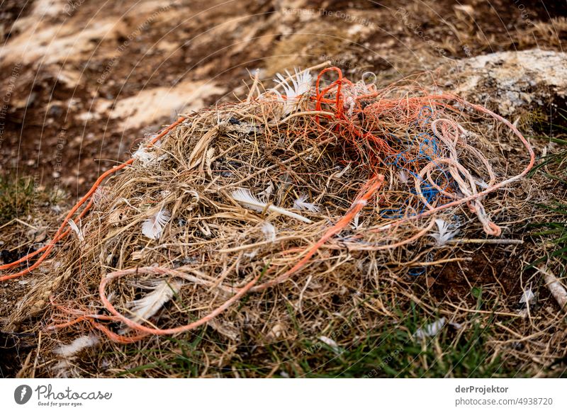Empty gannet nest on Helgoland North Sea Islands North Sea coast Nature reserve To go for a walk Landscape Hiking Discover Vacation & Travel Copy Space middle