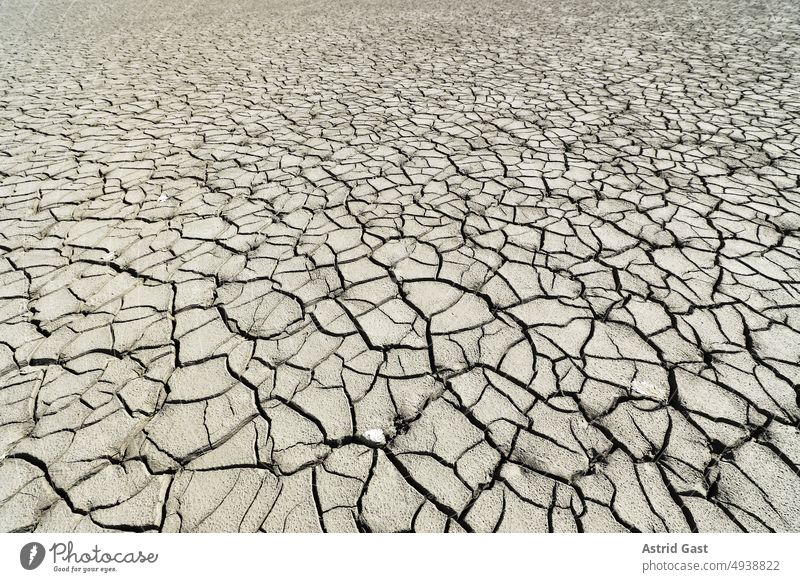 The dried cracked bottom of a lake in strong heat and little rain Lake parched Dry Empty Body of water Drought aridity ardor Warmth Summer cracks Mud waterless