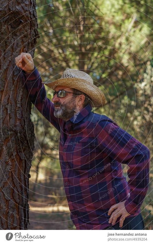 man with beard, hat and sunglasses leaning on a pine tree bearded person male trunk outside standing caucasian portrait freedom face contemplation human